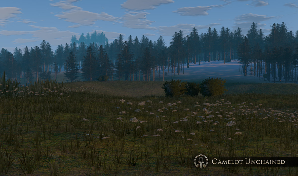 CU_Landscape_007_1200