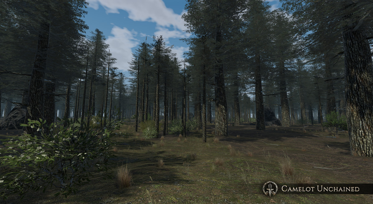 pine_vik_001_600