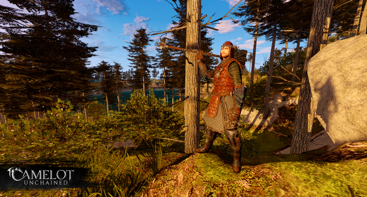 CU_image_viking_heavy_pine_1200