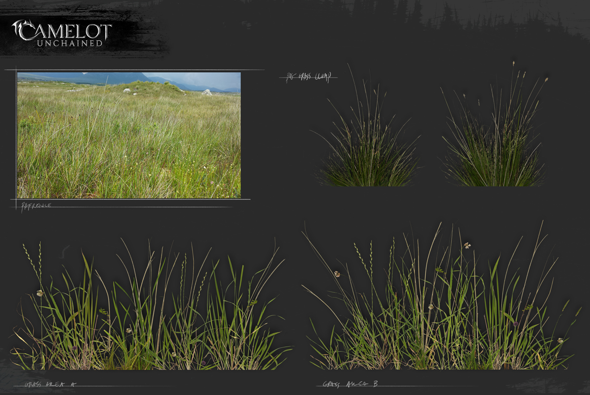 bog_grass_1200