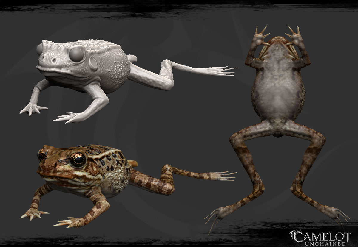 frog_1200