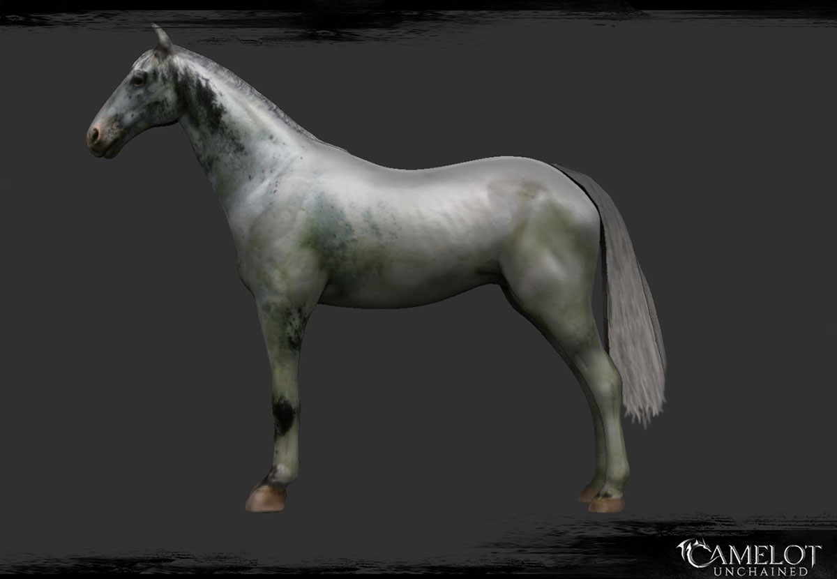 horse1