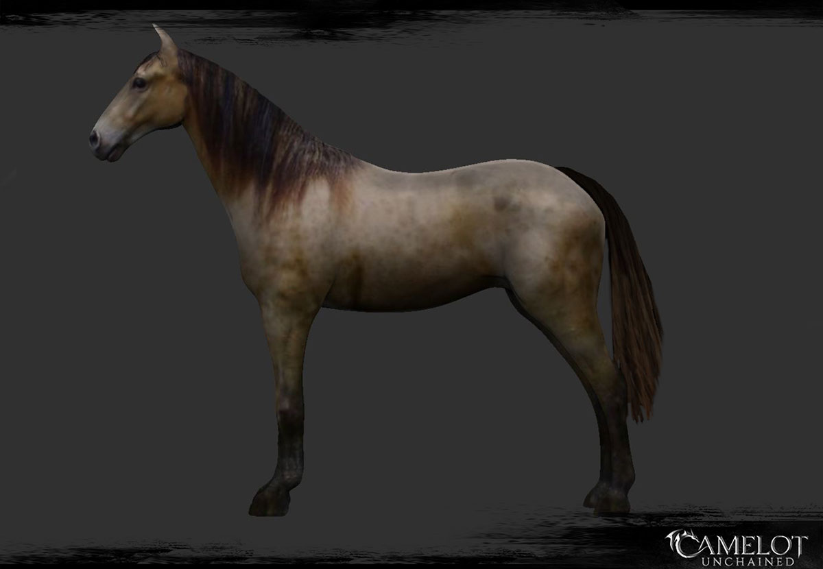 horse3